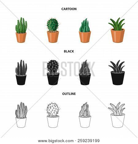 Isolated Object Of Cactus And Pot Icon. Set Of Cactus And Cacti Vector Icon For Stock.