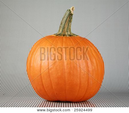 Zucca fresca singolo isolato su uno sfondo bianco e nero