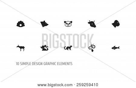 Set Of 10 Editable Zoo Icons. Includes Symbols Such As Bear, Ferret, Gorilla And More. Can Be Used F
