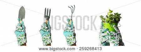 Hands In Gloves Holding Gardening Tools And Plant