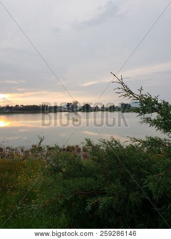 Rural Landscape With A Lagoon With Trees On The Shore, During The Sunset