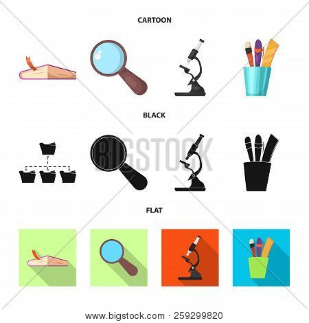 Isolated Object Of Education And Learning Sign. Set Of Education And School Vector Icon For Stock.