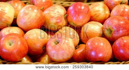 Crop Of Apples. Many Typical Ripe Apples In A Plastic Box. Harvest This Summer.