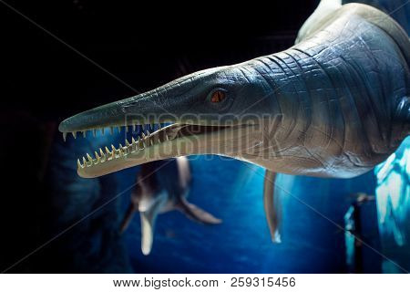 Vladivostok, Russia - August 18, 2018: Prehistoric Underwater Reptiles, Exposition In Oceanarium