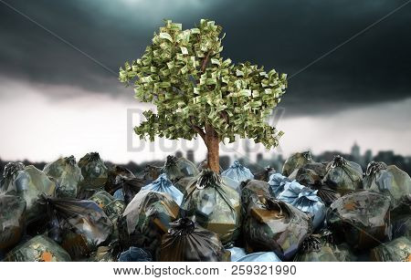 Modern Concept Of Profit From Recycling Money Tree Growing Out Of Garbage Bags 3d Render