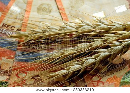 Close-up. Wheat Spikelets Lie On Kazakhstan Red Five Thousandth Notes. The Concept Of The Price Of G