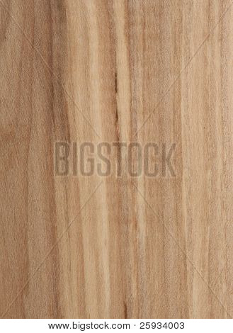 Texture legno di sorbo albero