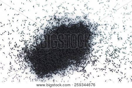 Large Grouping Of Snow Fleas (hypogastrura Nivicola) In The Snow