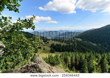 The Forest Near Little Rozsutec Hill In The National Park Mala Fatra, Slovakia.