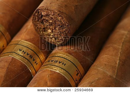 Havana cigars texture