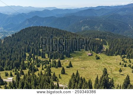 Summer Landscape Of Rhodope Mountains From Snezhanka Tower Near Ski Resort Pamporovo, Smolyan Region