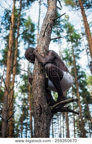 Male Black With No Shirt Climbs A Tree