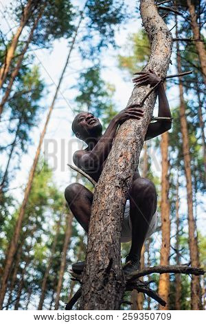 Male Black With No Shirt Climbs A Tree