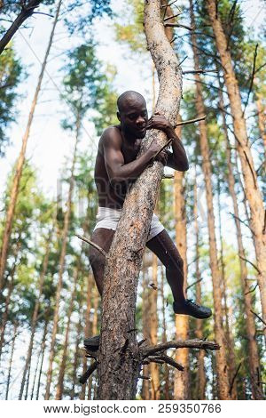 Male Black With No Shirt Climbs A Tree