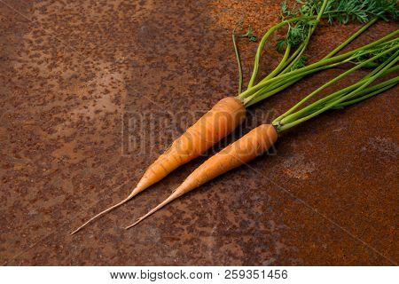 Two Raw Carrots From New Harvest On Rusty Melallic Surface Background Empty Space