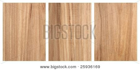 Texture legno di sorbo albero