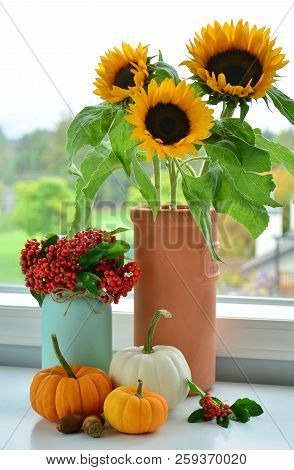 A Collection Of Fall Flowers, Firethorn Berries And Miniature Pumpkins Beside A Window In Vertical F