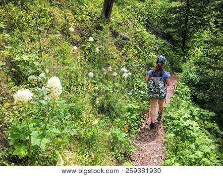 Hiking The Rocky Terrain Of The Crypt Lake Trail, A Steep Ascent To Crypt Lake Including Walking Thr
