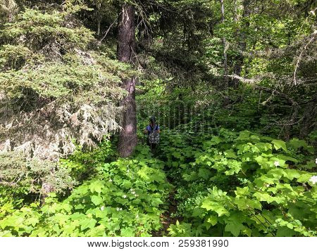 Hiking The Rocky Terrain Of The Crypt Lake Trail, A Steep Ascent To Crypt Lake Including Walking Thr