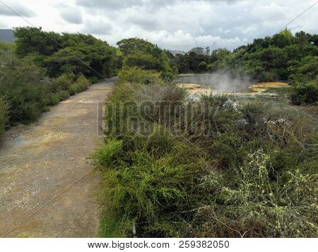 Walking Through The  Town Of Rotorua, New Zealand, Famous For Its Geothermal Activity