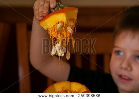Shallow Depth Of Field Focused On The Top Of A Pumpkin With Guts And Seeds Hanging Down.  It Is In T