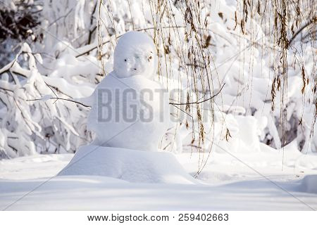 Undecorated Snowman In Winter Landscape In Sunny Day