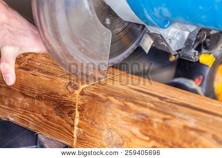 Close Up From A Buzz Saw Cuts A Wood