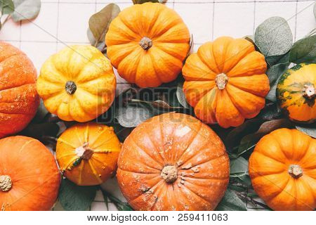 Orange Pumpkins On White Table In Cafe