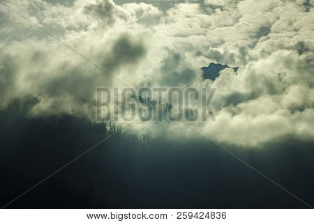 Silhouettes Of Trees On A Mountain In The Clouds