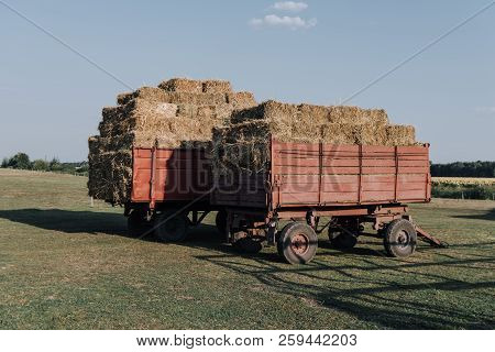Rural Scene With Two Hindcarriage Full Of Stacked Hay At Farm In Countryside