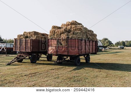 Rural Scene With Two Hindcarriage Full Of Stacked Hay At Farm In Countryside