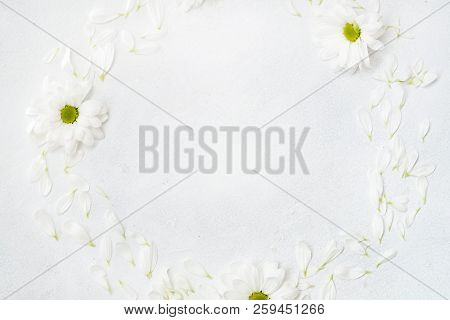 Daisy Wreath On White Background. Herbera Flowers In A Circle. Minimalist Floral Decor. Empty Space 