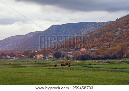 Beautiful Rural Landscape With A Green Field And A Small Village On A Cloudy Autumn Day. Bosnia And 