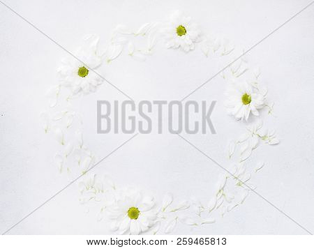 Daisy Wreath On White Background. Herberas In A Circle. Floristry And Flower Arrangement Design. Neg