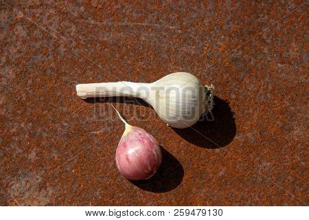Cltwo Heads Of Garlic From New Harvest On Rusty Melallic Surface Background Center