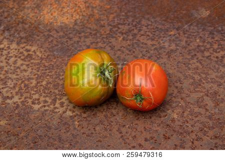 Two Red Green Tomatoes Not Ideal From New Harvest Lay On Rusty Melallic Surface Background