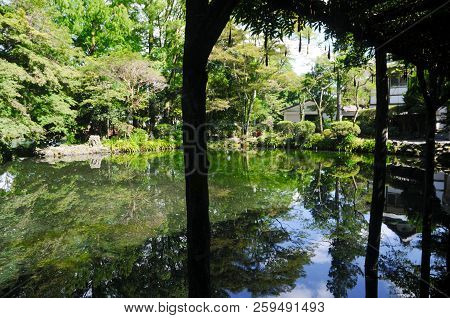 Pond Of The Holy Water From Mt. Fuji At The Fuji Hongu Sengen Taisha Shrine In Shizuoka, Japan. This