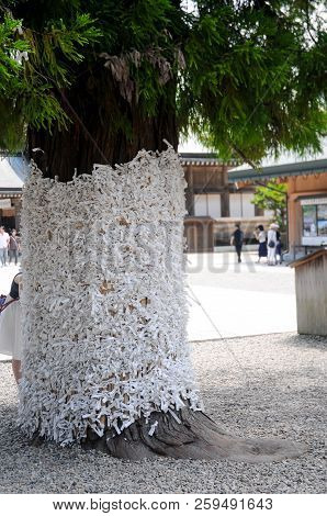 Fortune Telling Paper On The Tree At The Izumo Taisha Shrine In Shimane, Japan. To Pray, Japanese Pe