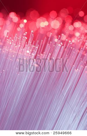 Fibres optiques. Courte profondeur de champ