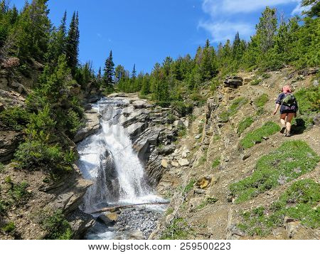 Hiking The Berg Lake Trail Around Mount Robson Glacier, In British Columbia Canada.  Full Of Beautif
