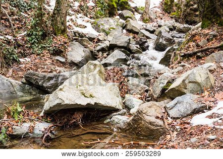 Autumn Nature With Rocks And Leaves In Troodos Mountains In Cyprus