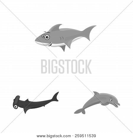 Vector Design Of Sea And Animal Icon. Collection Of Sea And Marine Vector Icon For Stock.