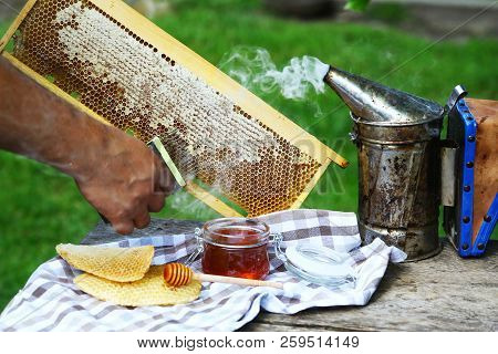 Fresh Honey In The Pot. Beekeeper Is Uncapping Honeycomb With Uncapping Fork. Beekeeping Concept. To