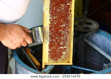 Close-up Beekeeper Is Uncapping Honeycomb With Uncapping Fork. Beekeeping Concept. Authentic Lifesty