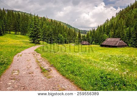 Beautiful Footpath To The Tatras Mountains In Poland