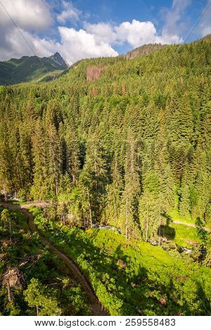 View To Green Valley During Trip To Kasprowy Wierch, Tatras