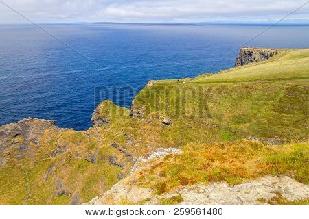 Vegetation And Rocks In Cliffs Of Moher