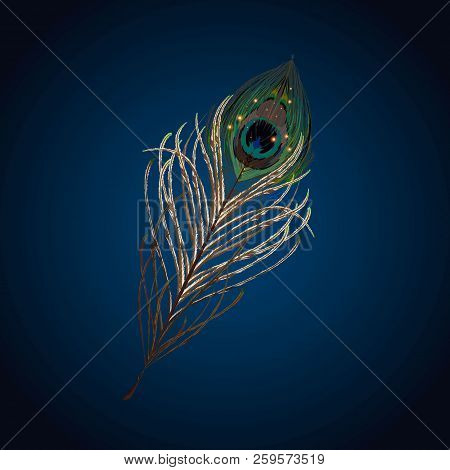 Stock Vector Illustration Set Realistic Peacock Feather Isolated On A Blue Background. Eps 10