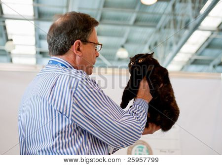Moscou - 6 de março: Juiz Kenny Currle examina um gato na exposição internacional de gatos 