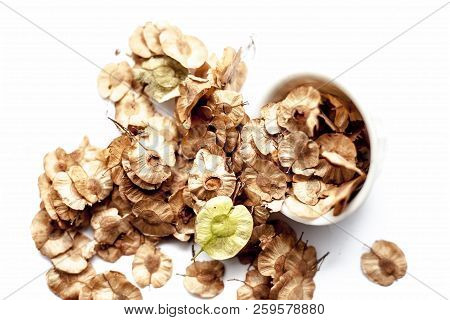 Close Up Of Dried Leaves Of Pipado, Or Pipadi, Or Indian Rosewood Or Pippala Tree Or Sacred Fig Or F